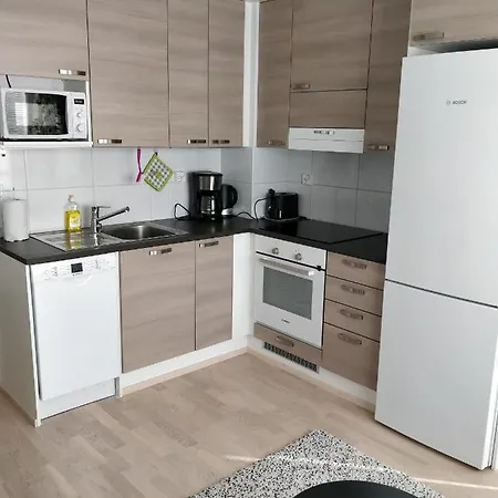 Lapland Traveler Apartamento